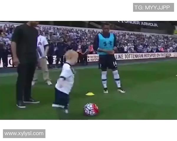 足球球星树熊:从坚韧不拔到绿茵场上的独特魅力解析